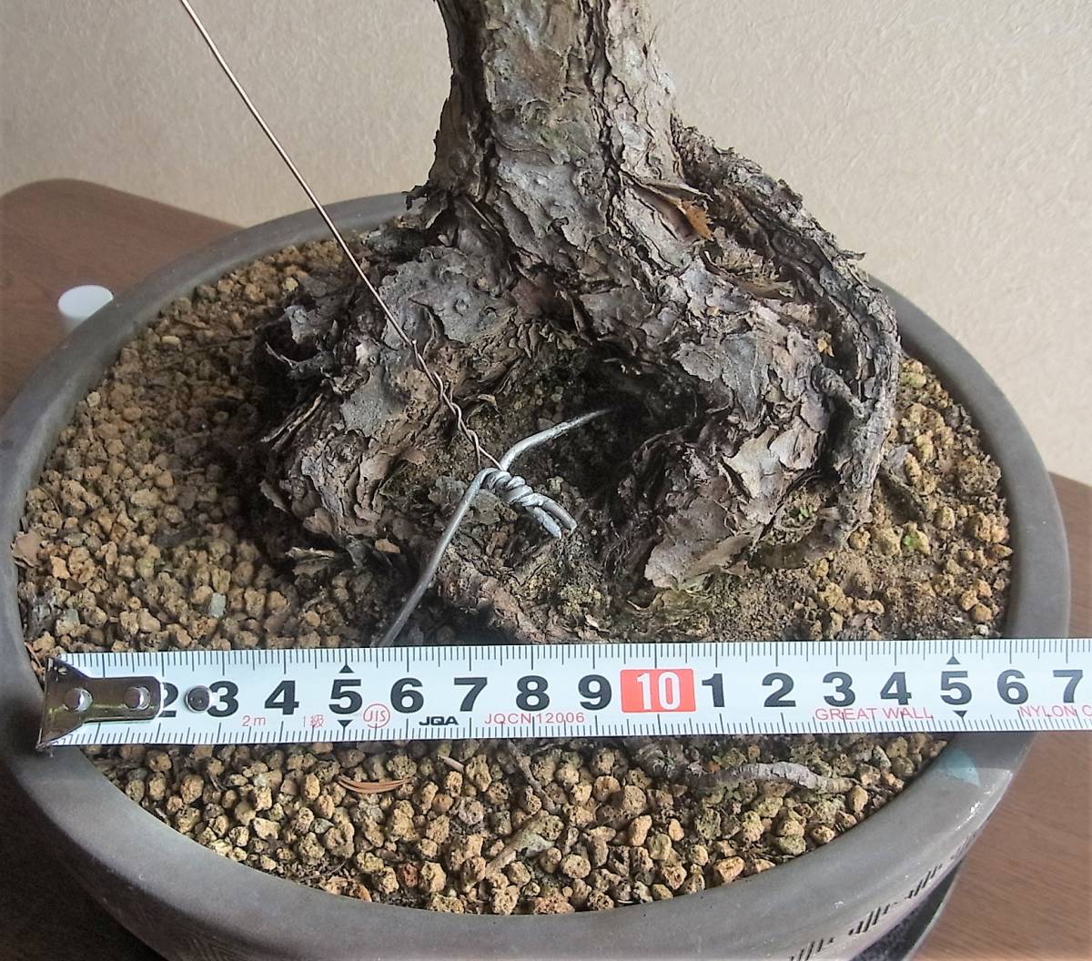 黒松 盆栽 樹高48cm 激古 山採り 文人 根芸 皮爆ぜ 葉性抜群 詫び寂び 枯淡(松)|売買されたオークション情報、yahooの商品情報を ...