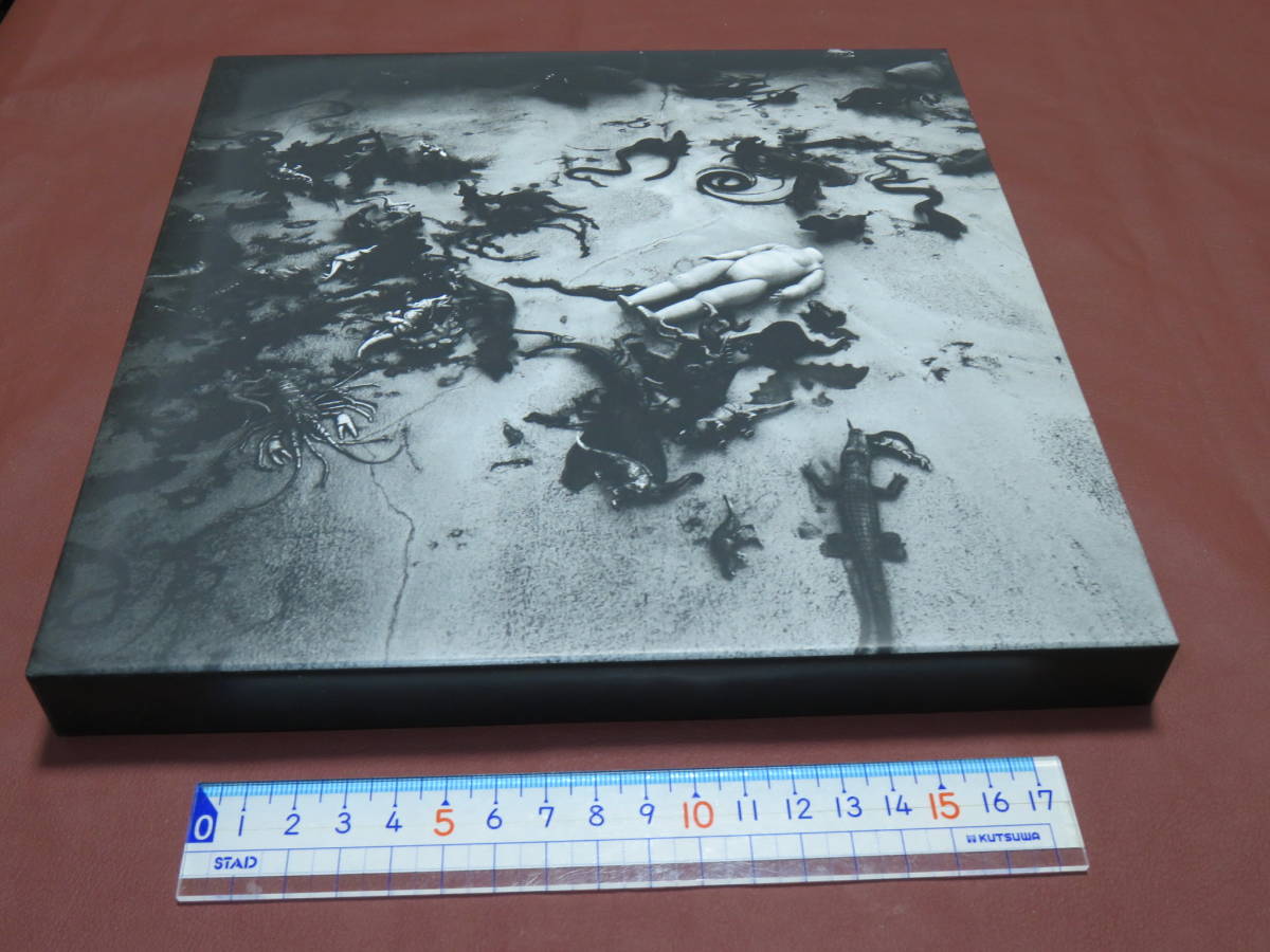 【希少 非売品】「東京墓情 荒木経惟×ギメ東洋美術館」カタログ写真集 写々者 shashasha 荒木経惟 非売品「東京墓情 荒木経惟×ギメ東洋美術館