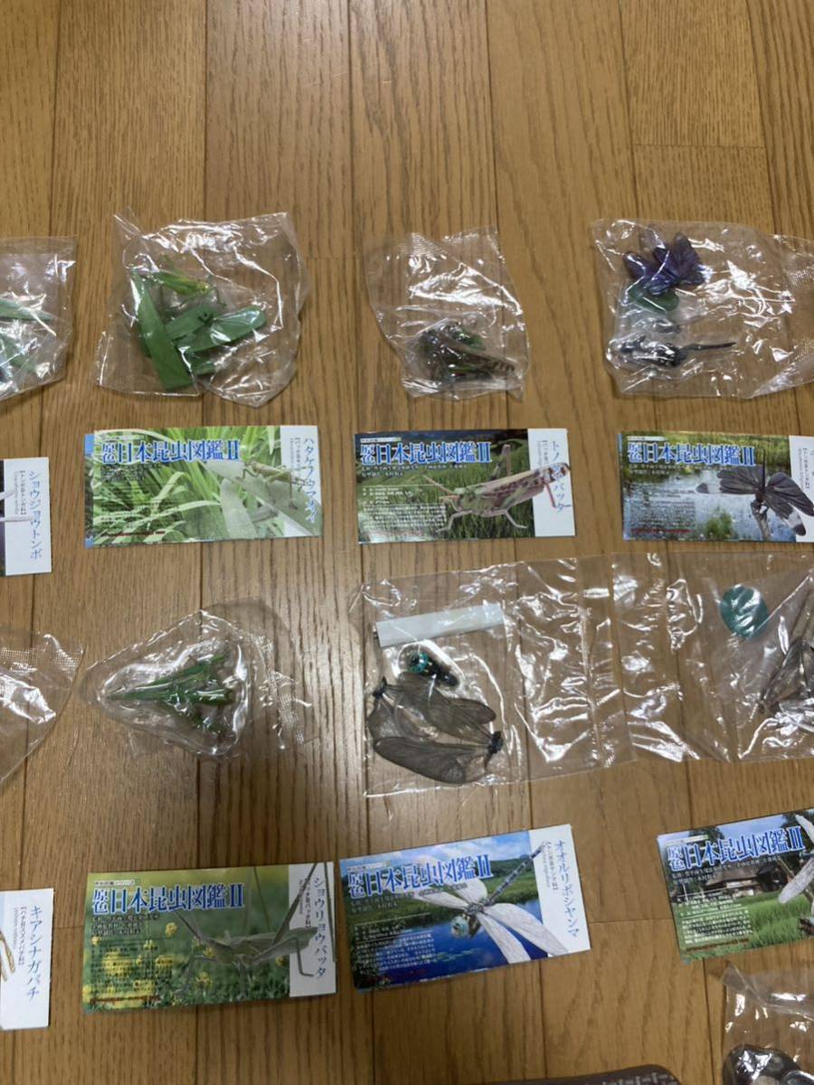 原色日本昆虫図鑑Ⅱ 【公式通販】