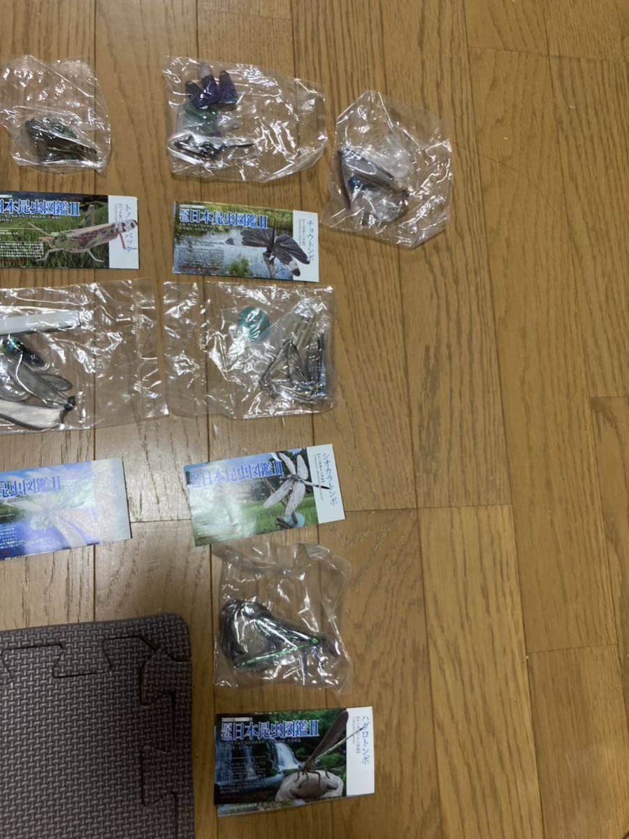 原色日本昆虫図鑑Ⅱ 【公式通販】