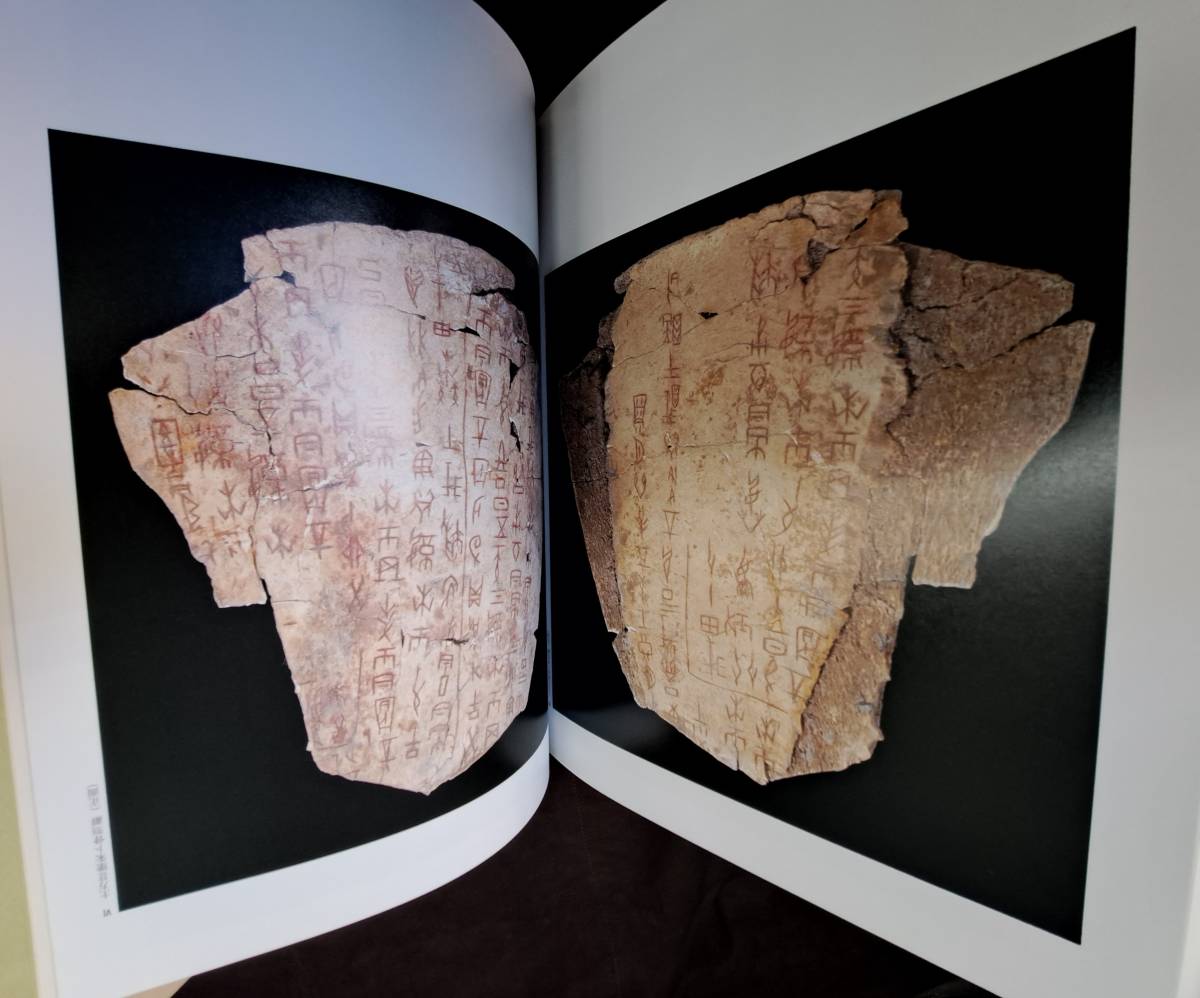 中国書道☆中国歴史博物館蔵法書大観☆5冊☆甲骨文・金文・陶文・文