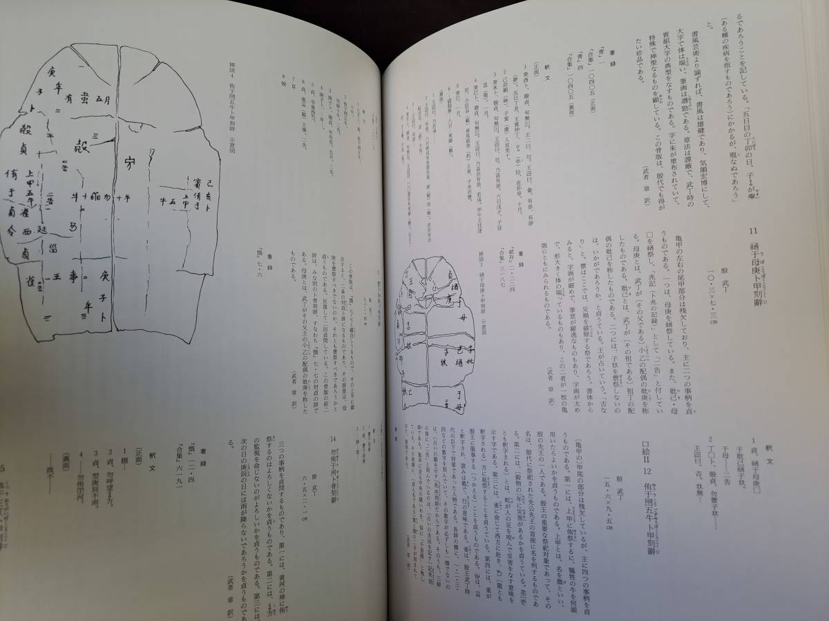 中国書道☆中国歴史博物館蔵法書大観☆5冊☆甲骨文・金文・陶文・文