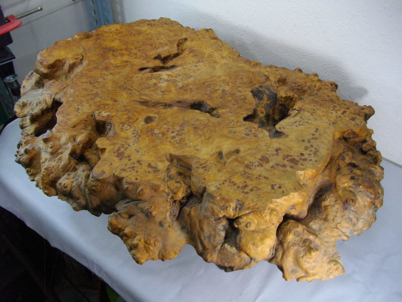 ■送料無料！■昭和の瘤の花台・Ｈ１６×Ｗ５９×Ｄ４７ｃｍ■厚さ５ｃｍ！■盆栽台■置物台■木製■無垢■天然木■一枚板！