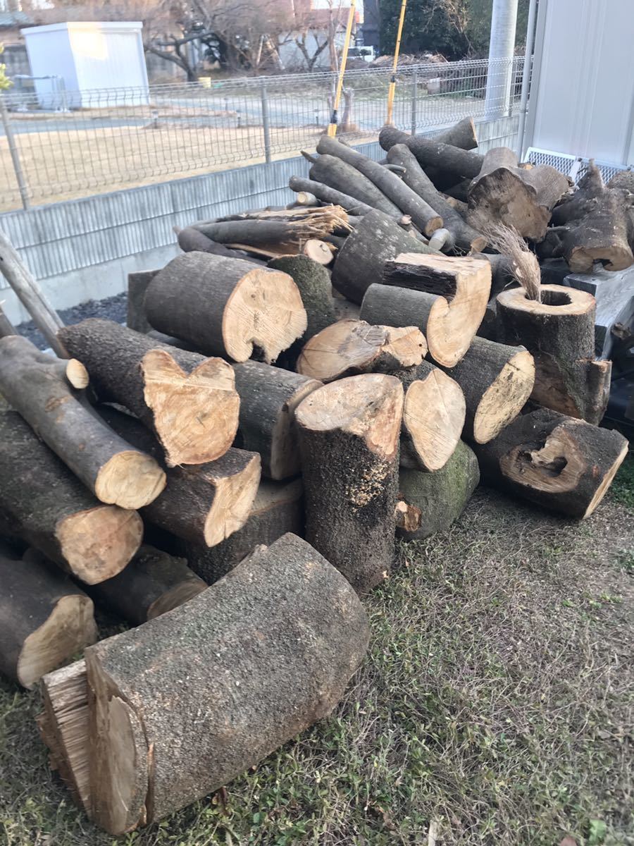 【群馬県】薪　原木　かしの木　樫　梅　ウメ