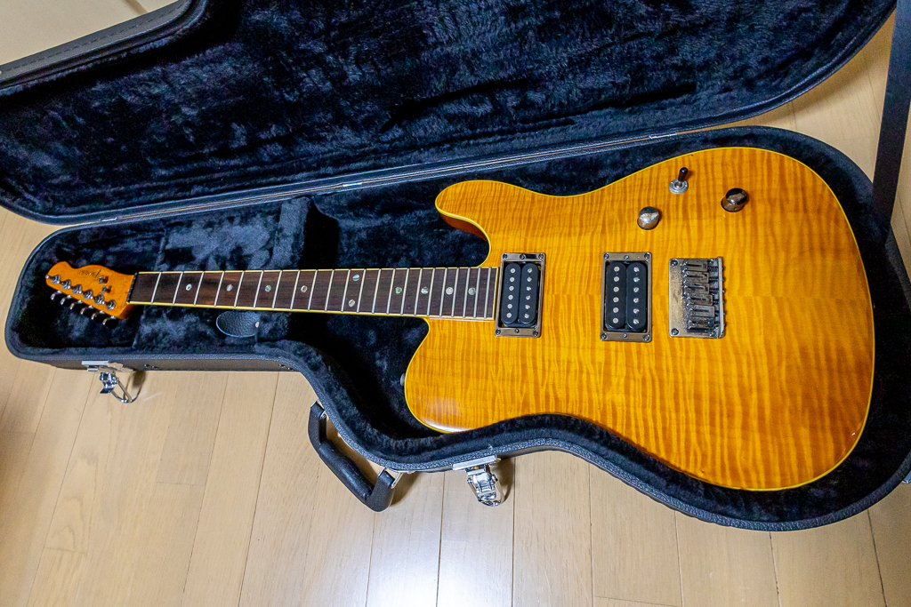 Fender Telecaster SPECIAL EDITION CUSTOM FMT HH with hard Case