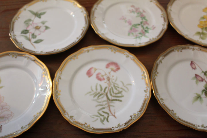 ノリタケ GALA CONTESSA ガラコンテッサ】プレート 6枚 絵変わり GIEN