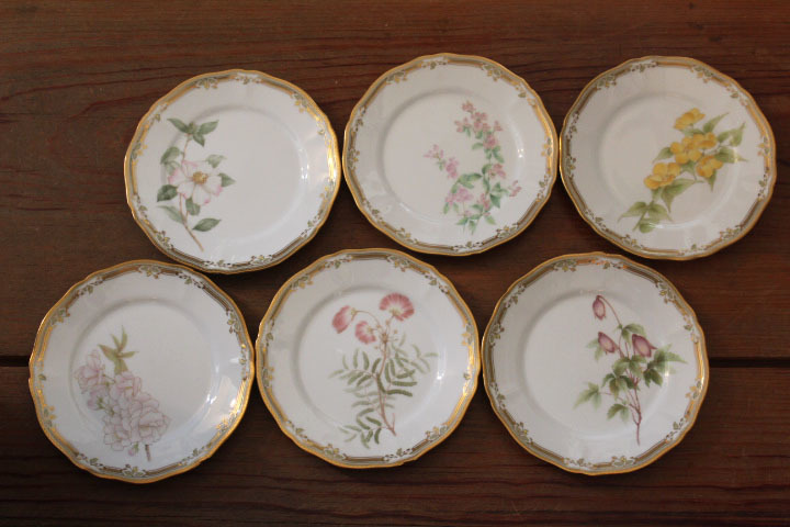 ノリタケ GALA CONTESSA ガラコンテッサ】プレート 6枚 絵変わり GIEN