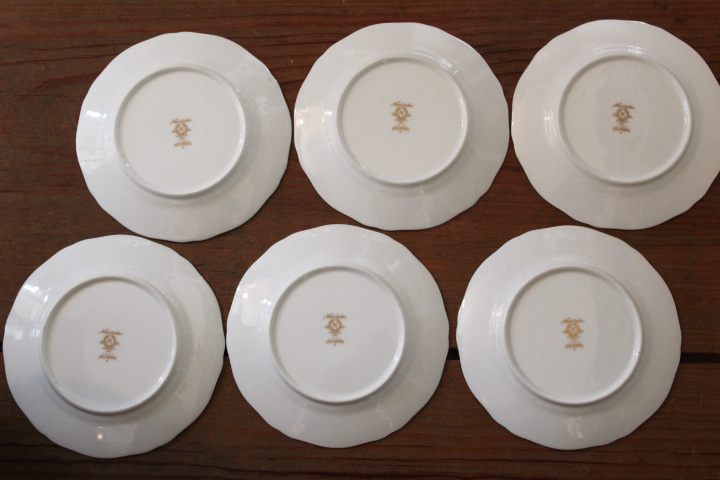 ノリタケ GALA CONTESSA ガラコンテッサ】プレート 6枚 絵変わり GIEN