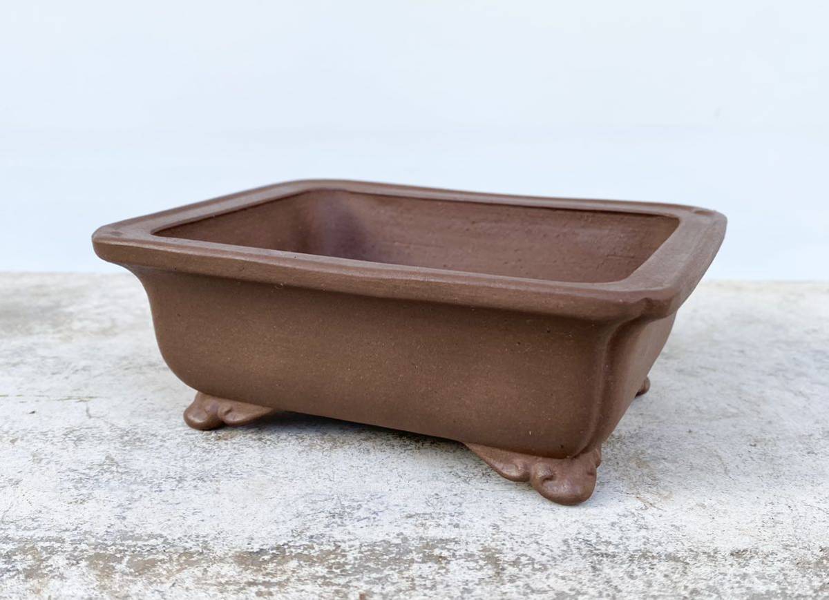 白木盆栽園　銭号　盆栽　鉢　植木鉢　黒松赤松五葉松真柏杜松雑木メダカ鯉懸崖鉢赤石石鎚