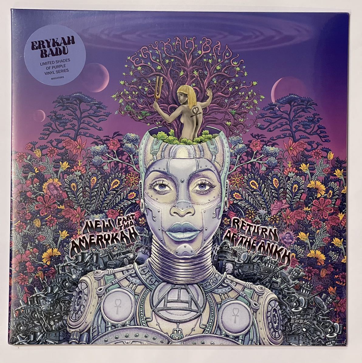 Erykah Badu - New Amerykah Part Two: Return Of The Ankh main image 0