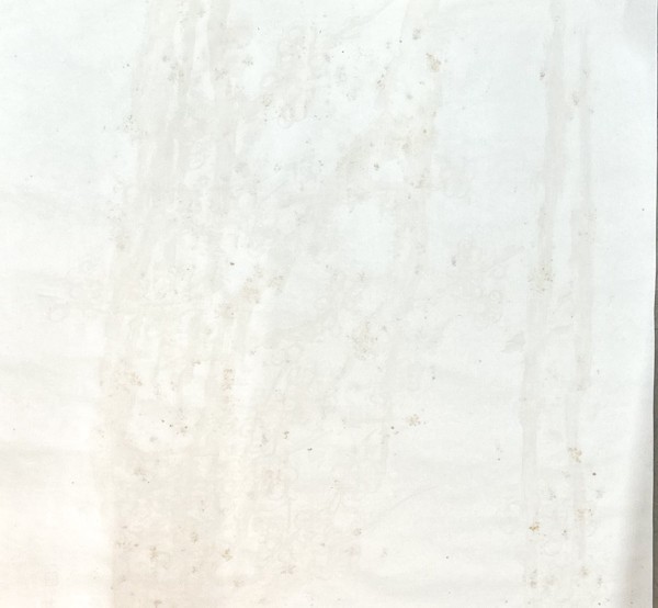 ☆楊柳青画店 中国 水印箋 3巻 梅 呉昌碩 66.5×130.5cm 書画紙 画仙紙 宣紙 書道具 書道紙 中国紙 時代 唐紙 20230219-6