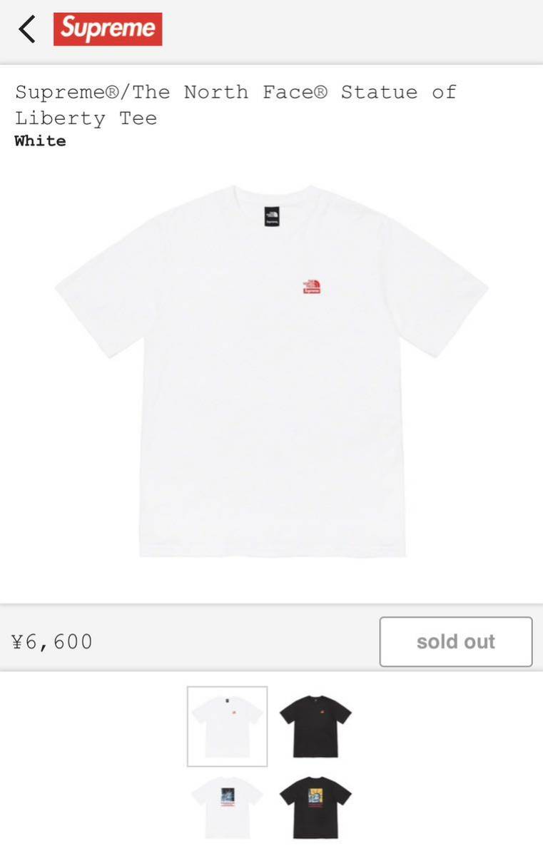 Supreme THE NORTH FACE Statue of Liberty Tee シュプリームノース