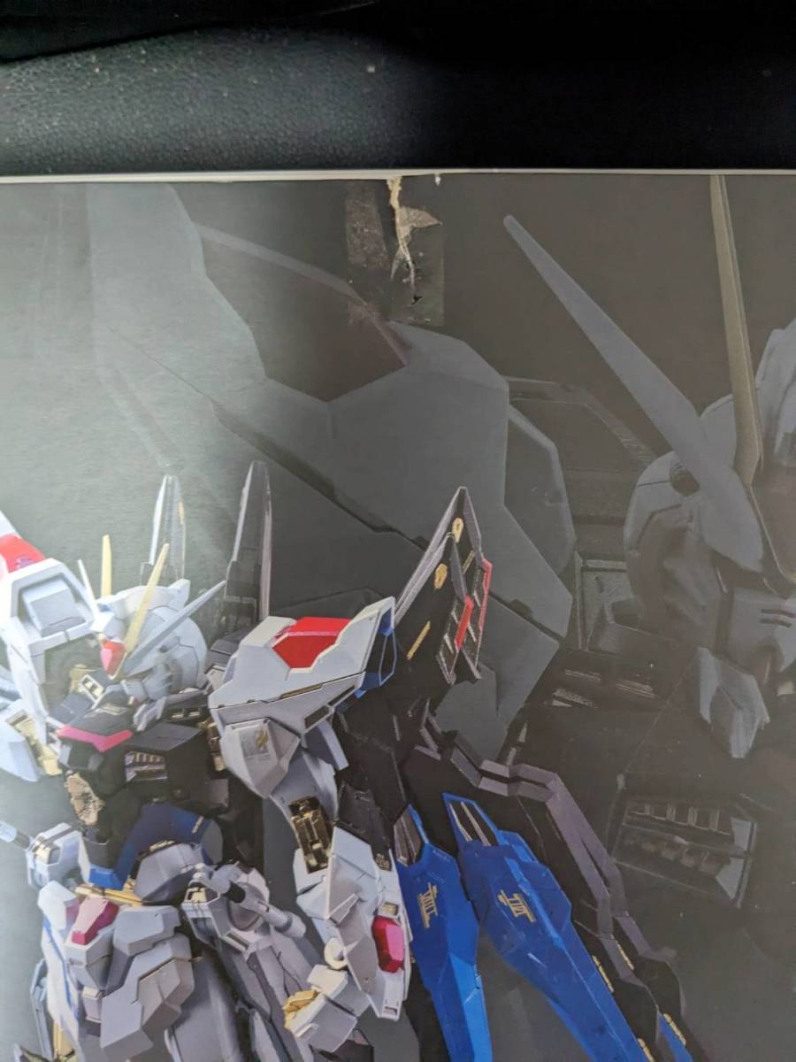 METAL BUILD ストライクフリーダムガンダム メタルビルド 機動戦士ガンダムSEED DESTINY_4