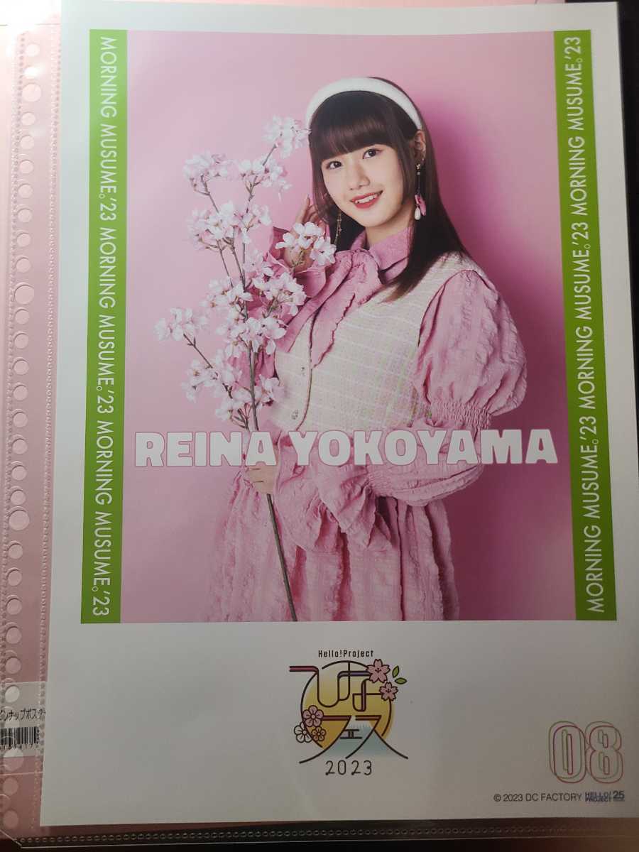 モーニング娘。'23 横山玲奈ピンポス（23年ひなフェス）】ひなフェス
