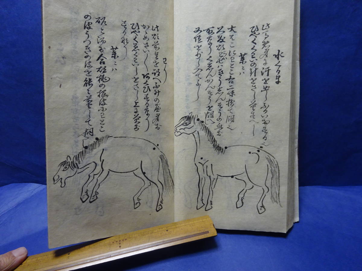 （４）珍品写本肉筆　大極秘法「伯楽口傳書　完」　馬の病気に関する書　４８頭の病馬の図　明治31年の写本　甲斐駒、聖徳太子検：軍馬愛馬 | 鈴木優莉 東京書芸館公式通販