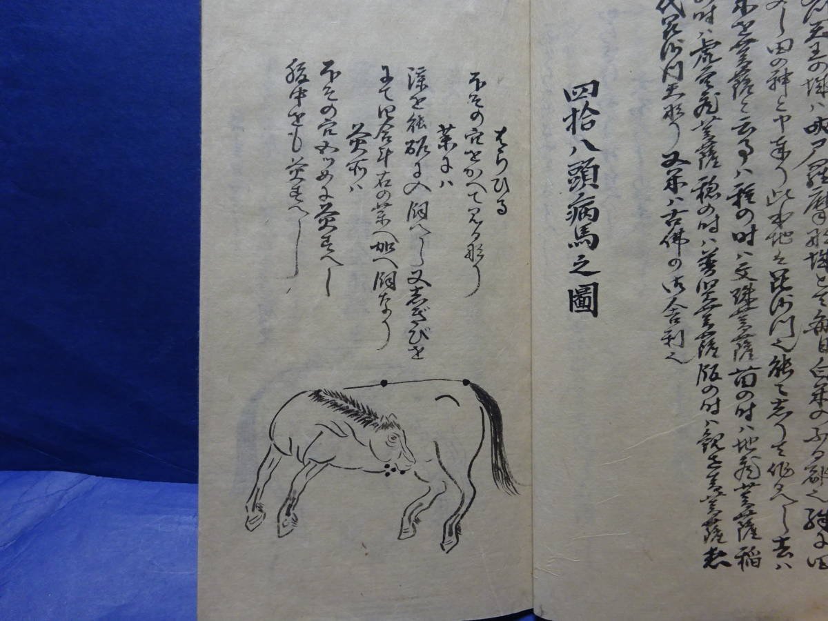 （４）珍品写本肉筆　大極秘法「伯楽口傳書　完」　馬の病気に関する書　４８頭の病馬の図　明治31年の写本　甲斐駒、聖徳太子検：軍馬愛馬 | 鈴木優莉 東京書芸館公式通販