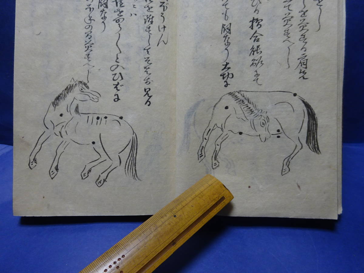 （４）珍品写本肉筆　大極秘法「伯楽口傳書　完」　馬の病気に関する書　４８頭の病馬の図　明治31年の写本　甲斐駒、聖徳太子検：軍馬愛馬 | 鈴木優莉 東京書芸館公式通販