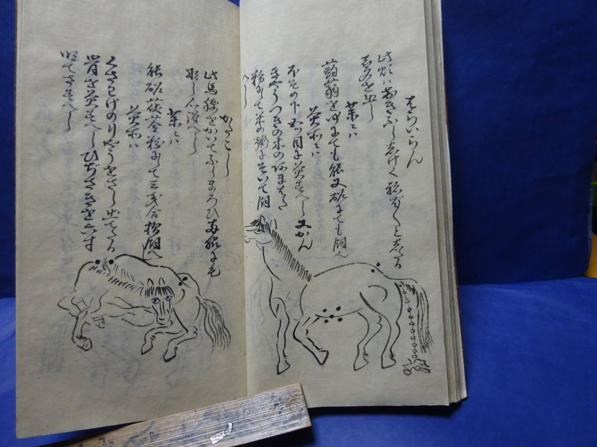 （４）珍品写本肉筆　大極秘法「伯楽口傳書　完」　馬の病気に関する書　４８頭の病馬の図　明治31年の写本　甲斐駒、聖徳太子検：軍馬愛馬 | 鈴木優莉 東京書芸館公式通販