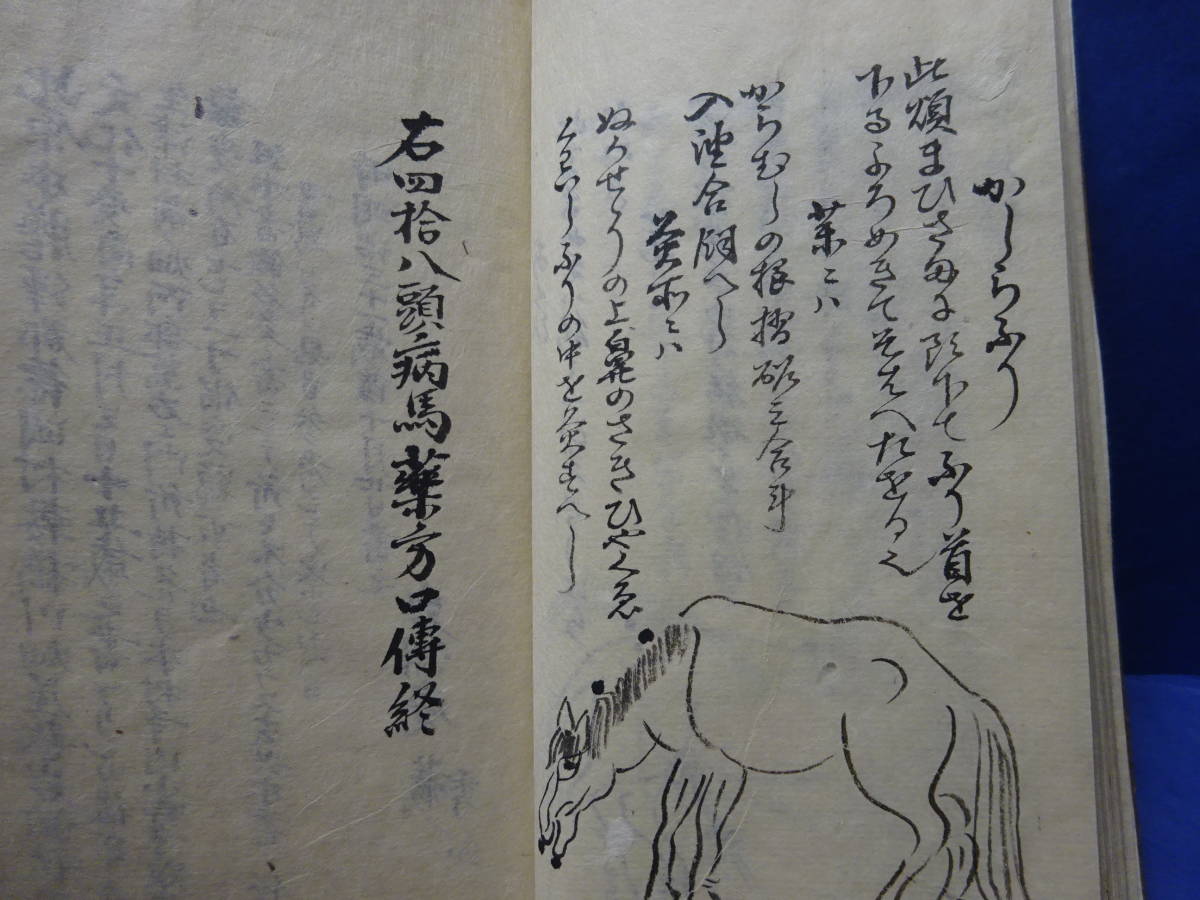 （４）珍品写本肉筆　大極秘法「伯楽口傳書　完」　馬の病気に関する書　４８頭の病馬の図　明治31年の写本　甲斐駒、聖徳太子検：軍馬愛馬 | 鈴木優莉 東京書芸館公式通販