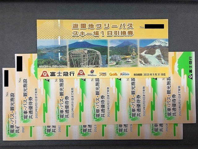 富士急ハイランド フリーパス 引換券 3枚セット 期限 2023年5月31