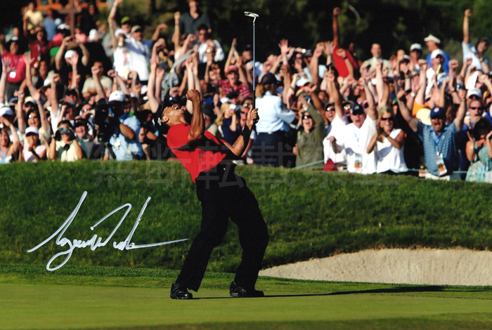 タイガー・ウッズ 直筆サインフォト/写真 ゴルフ Tiger Woods タイガー