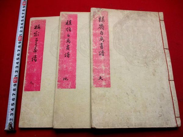 947◆楳嶺百鳥画譜3冊揃　幸野楳嶺　絵本　明治14年　花鳥画　木版画本　 和本 古書 古文書