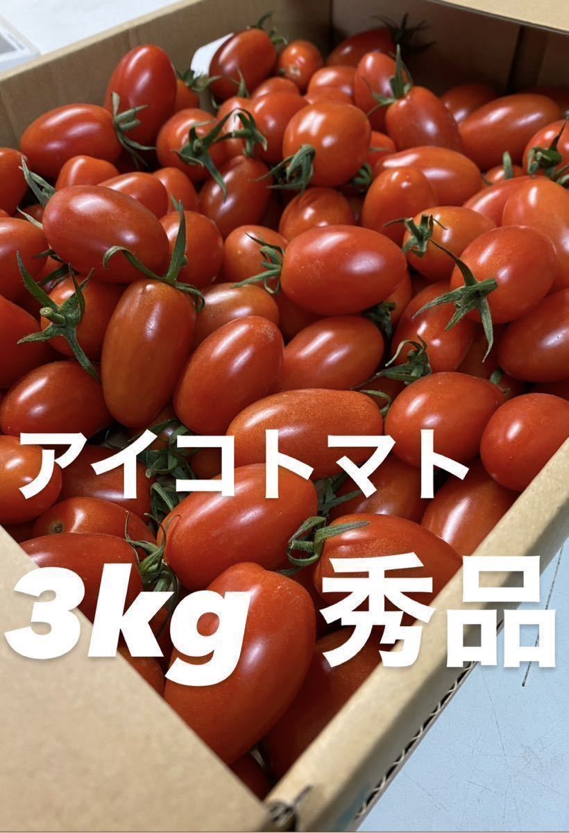9kg 3箱 お買い得 最安価格 アイコトマト 秀品