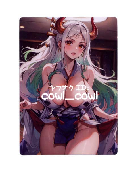 ACG カード ワンピース 216 ヤマト 両面印刷 ONE PIECE カードゲーム セクシーカード 海外 ファンカード 同人 カード ヤマト 両面印刷