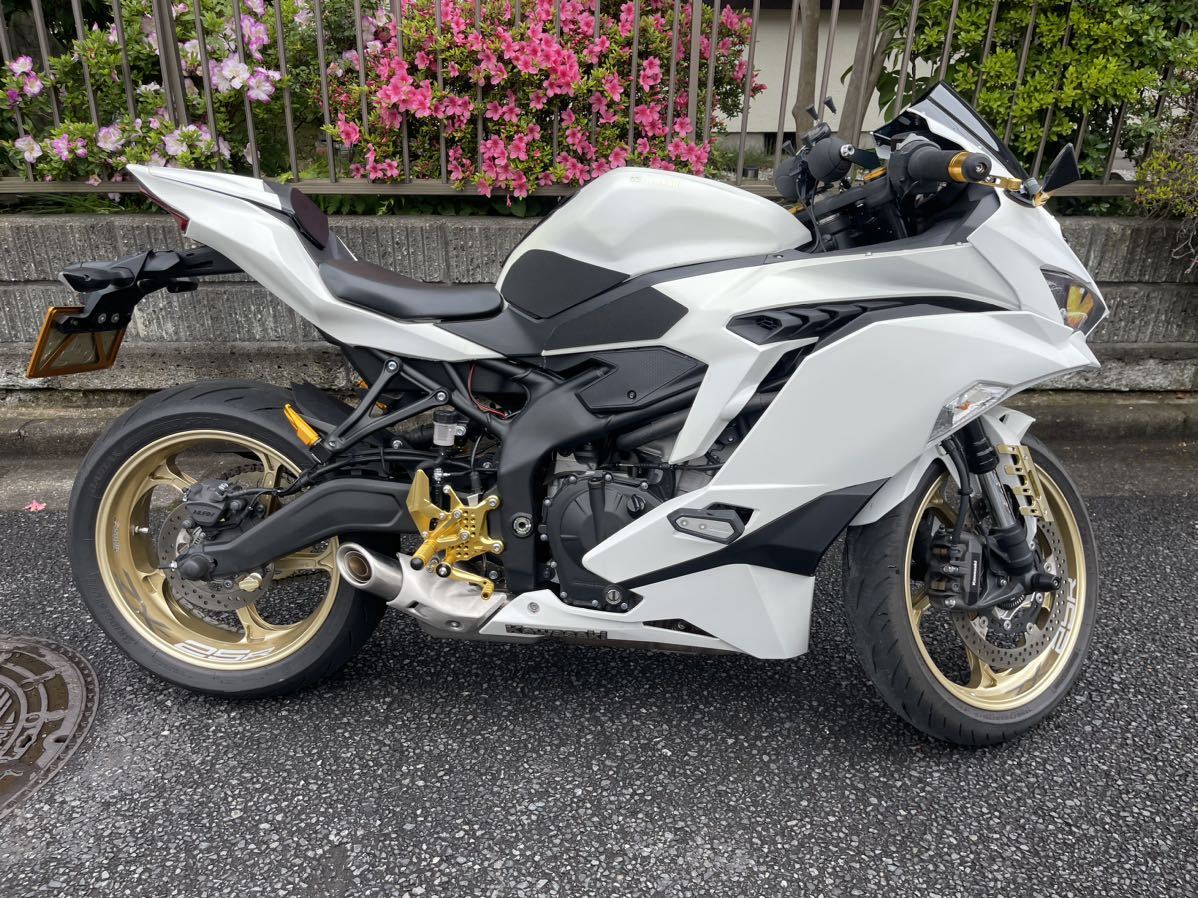 The Kawasaki ZX-25R Is Finally Here And The Specs Are Scrumptious