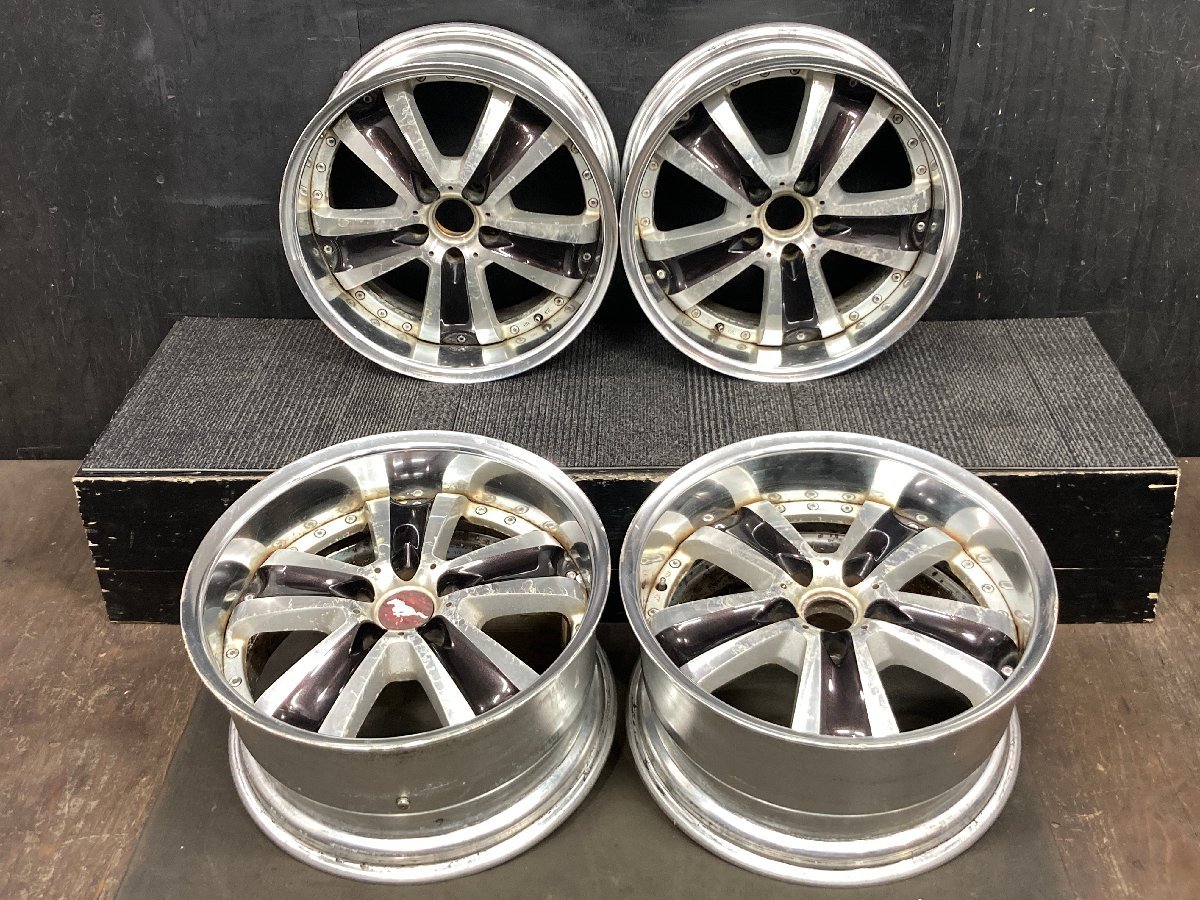 ミラビレ　写真確認用 植物⁄冬型植物⁄ミラビレ – Hachi-8