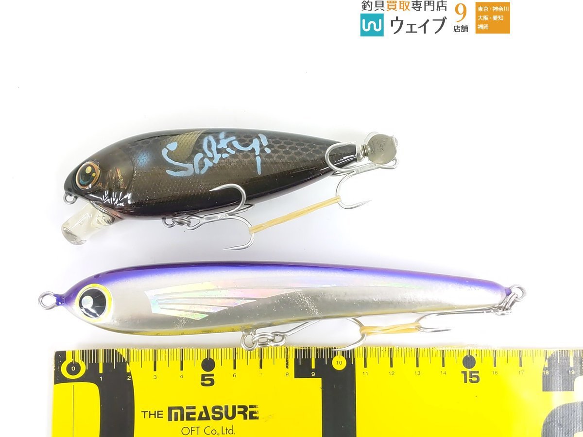 ローカルスタンダード ダイブベイト 165・カーペンター フラットベイト