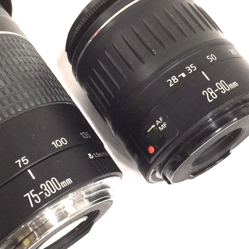 Canon EOS Kiss Digital X ZOOM LENS EF 75-300mm 1:4-5.6 III 28-90mm