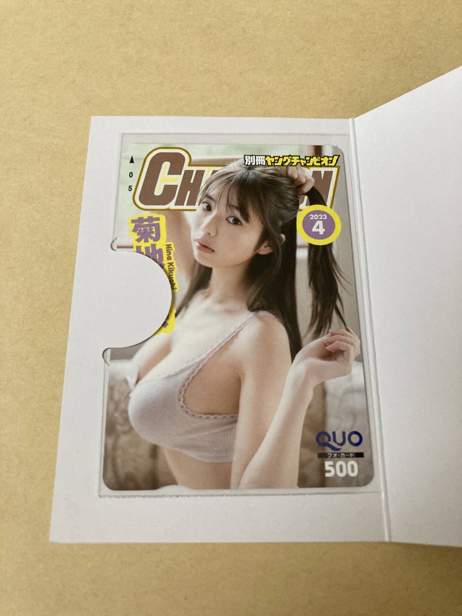 菊地姫奈　QUOカード　クオカード　抽プレ　別冊ヤングチャンピオン_1