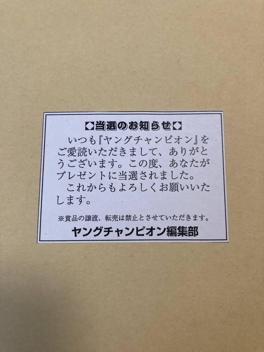 菊地姫奈　QUOカード　クオカード　抽プレ　別冊ヤングチャンピオン_2
