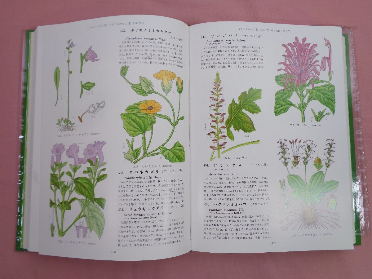 ◇◇原色牧野植物大図鑑 正編・続編 牧野富太郎 北隆館◇◇