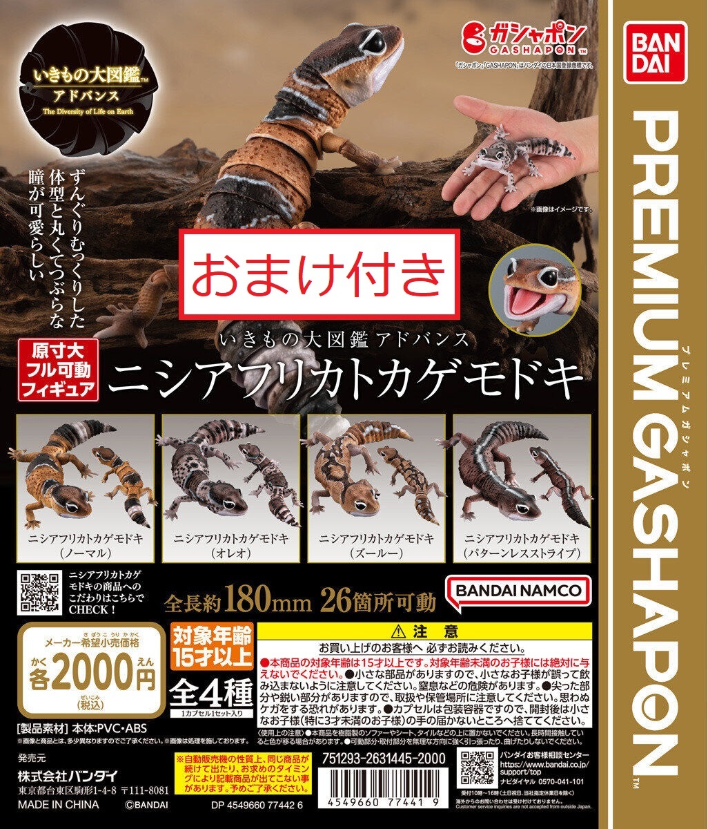 送料無料) いきもの大図鑑アドバンス ニシアフリカトカゲモドキ 全4種