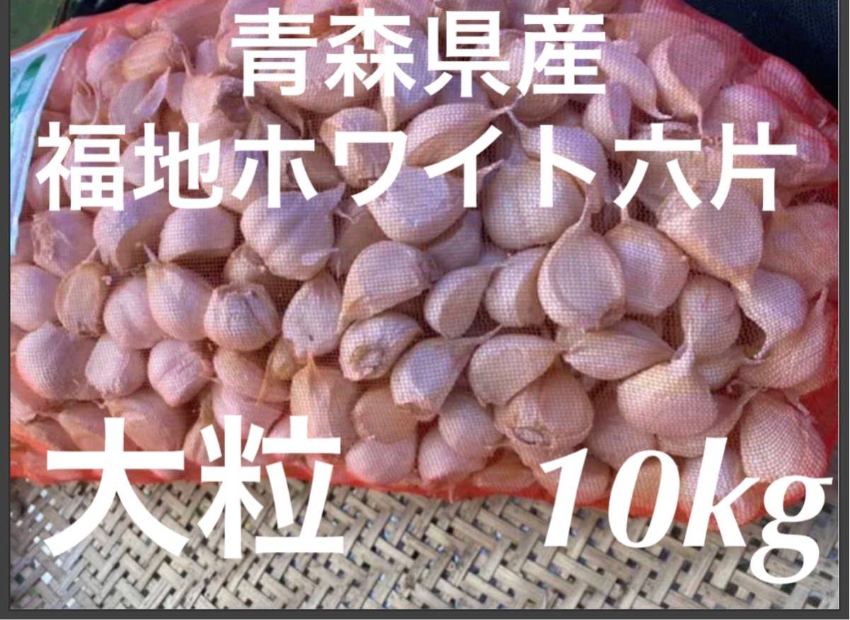 青森県産 乾燥にんにく バラ2Lサイズ多10kg 福地ホワイト六片