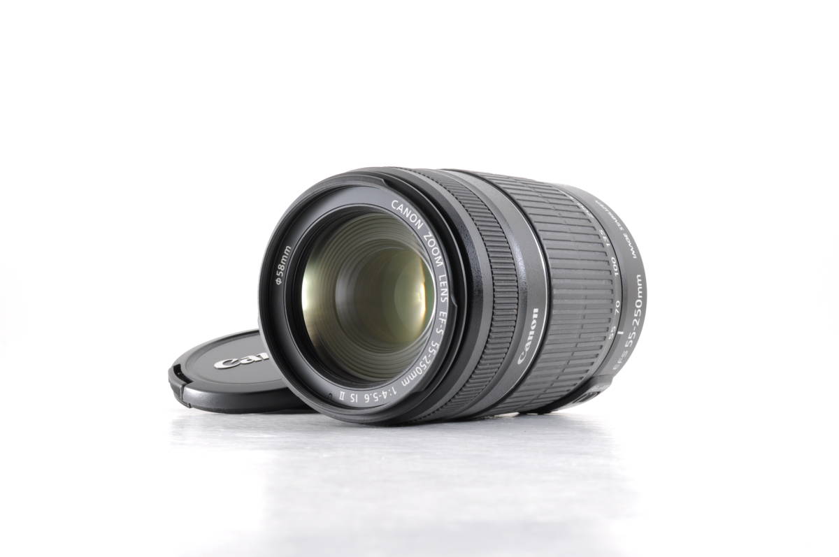 動作品 キャノン Canon ZOOM LENDS EF-S 55-250ｍｍ f4-5.6 IS II AF 一眼カメラレンズ 管GG729