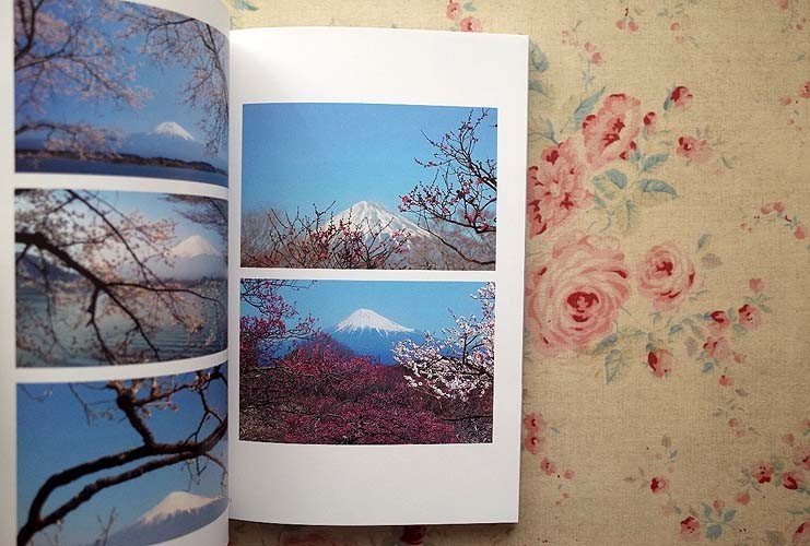 フィオナ・タン Fiona Tan アセント 美術館・展覧 ｜ IZU PHOTO MUSEUM