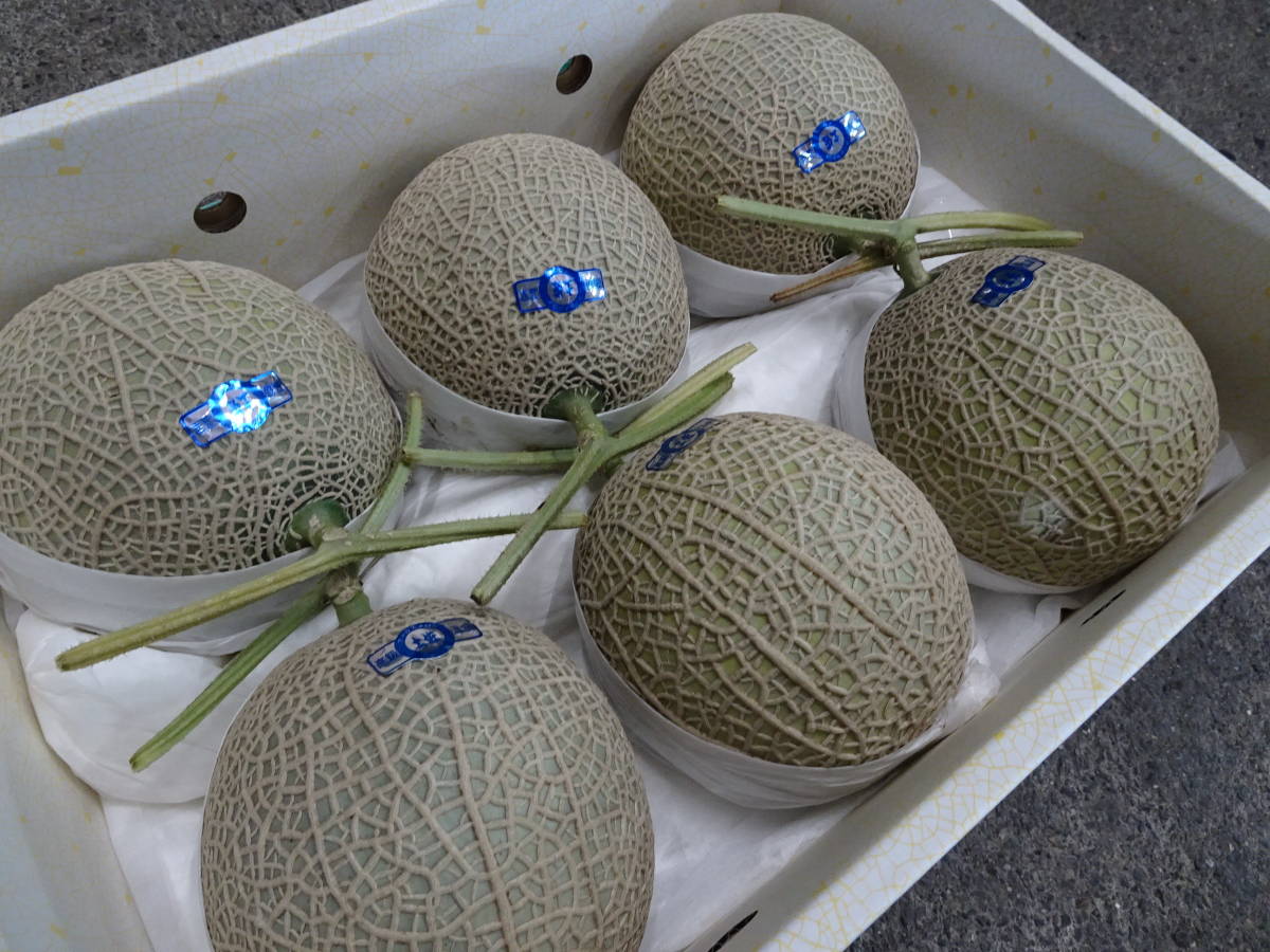 高知県産 メロン マスクメロン ギフト 赤肉マスクメロン6玉で7キロ 