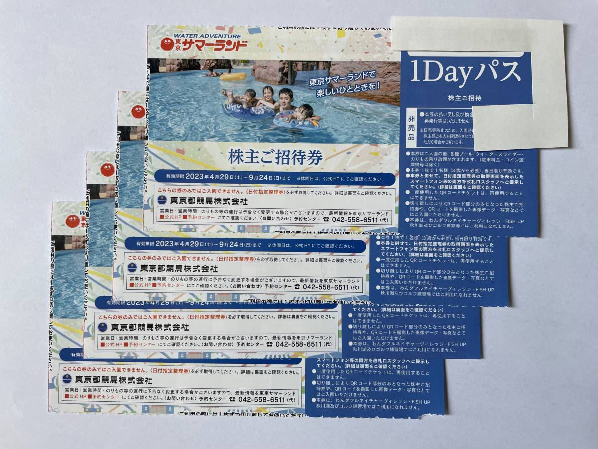 東京サマーランド 株主優待券 株主ご招待券 3枚 1Dayパス(フリーパス 