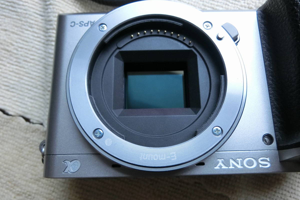 ソニーα6000 ボディ シルバー ILCE-6000+おまけレンズE18-55mm F3.5