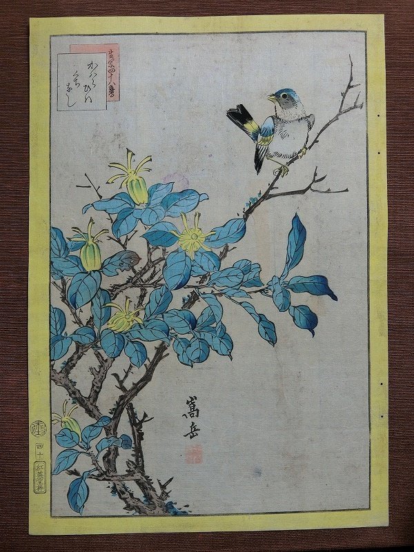 A8584 中山嵩岳堂 生写四十八鷹 かわらひわ・くちなし 江戸後期 木版画