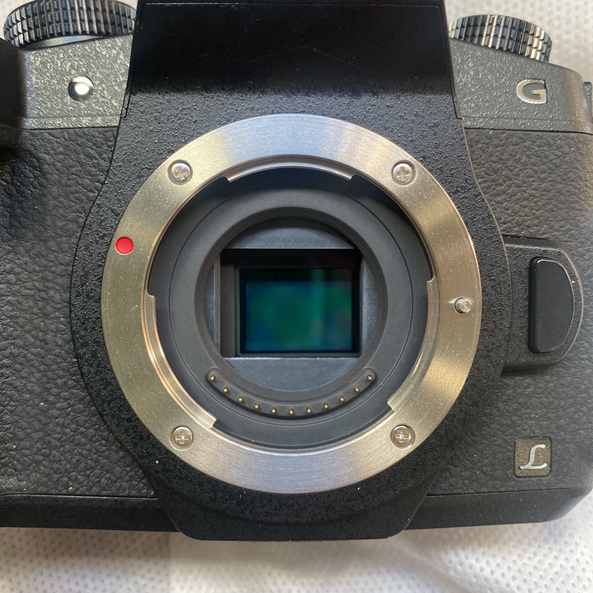 LUMIX Panasonic DMC-G8 パナソニック ボディ 箱有り ベルト 新品 充電