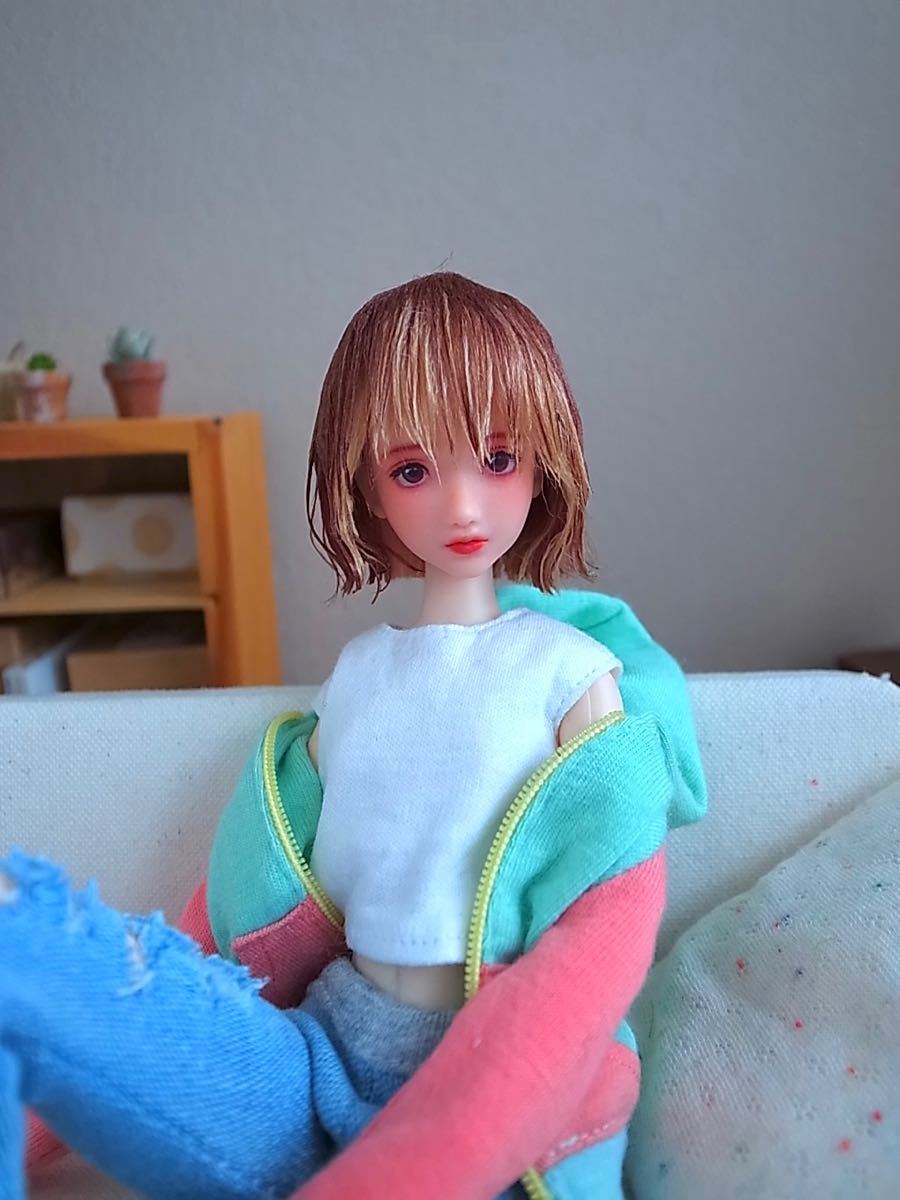 1/6カスタムヘッド カスタムドール オビツ26ボディ推奨 虫虫ヘッド
