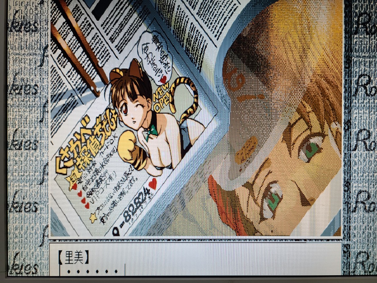 1円～ PCゲーム ソフト 3.5インチ2HD PC-9800シリーズ プリンセス