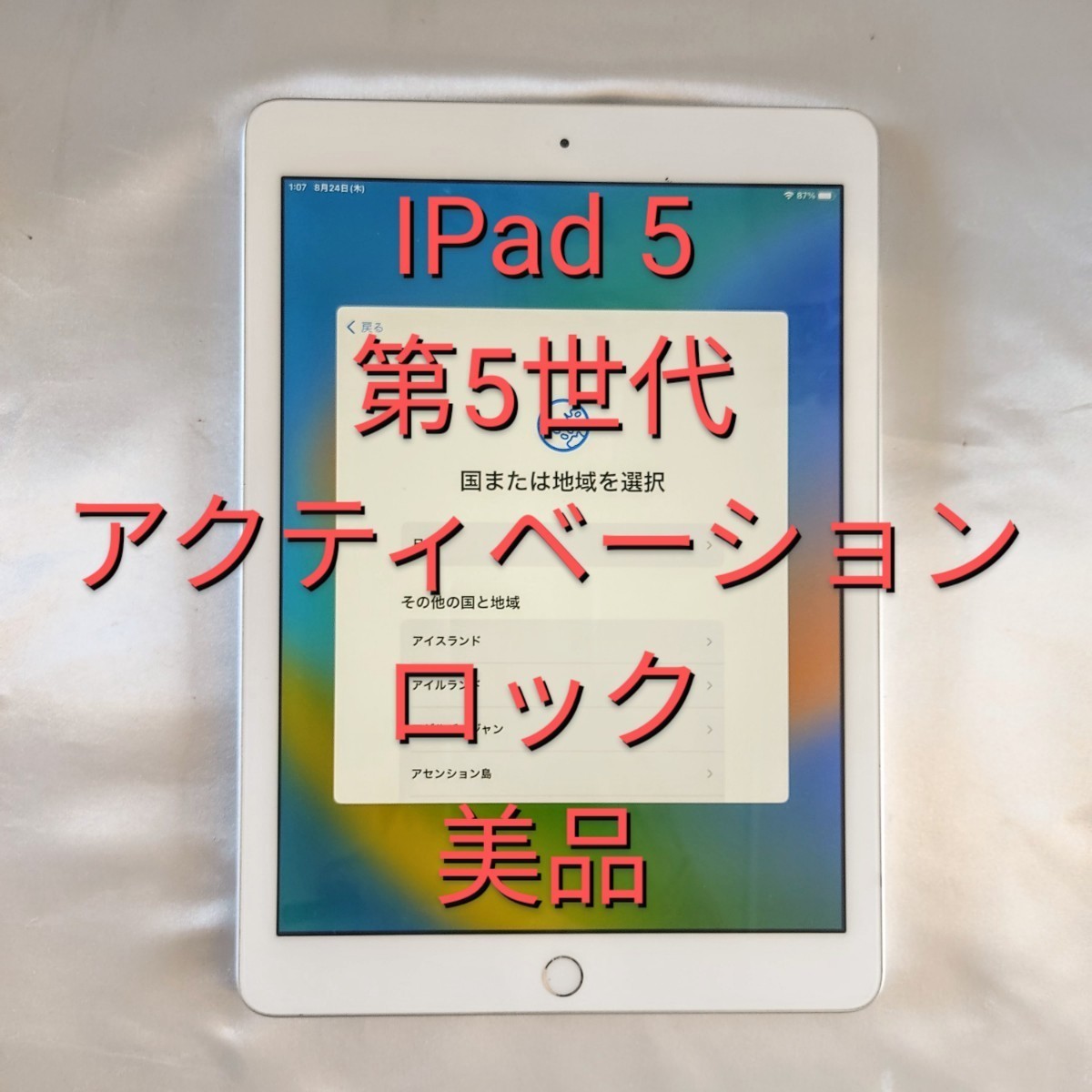 ジャンク 】【アクティベーション品】美品 IPad 5 第5世代 A1822 WiFi 