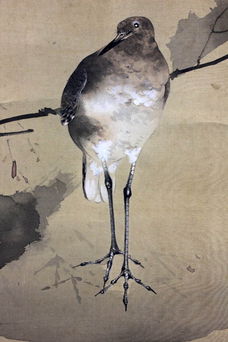 模写1円～ 掛軸 『円山応挙』初夏の滝 絹本 中国画 日本⁄書⁄花鳥