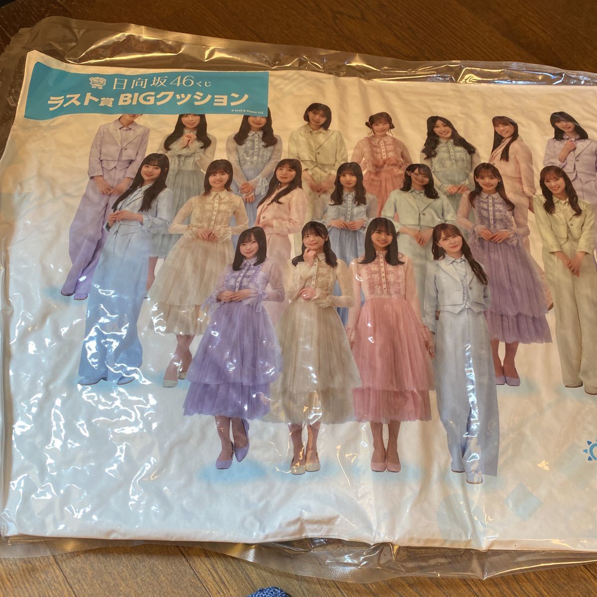 くじっちゃお☆日向坂46くじ☆ラスト賞ビッグクッション くじっちゃお