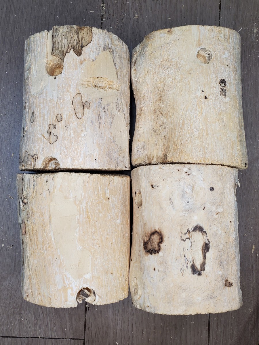 ベトナム材　VN材　15cm×20cm 産卵木 ベトナム材 VN材 15cm×20cm 産卵木 VN材（ベトナム材）Mサイズ 1本